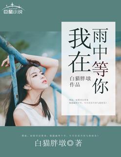 我在雨中等你摘抄